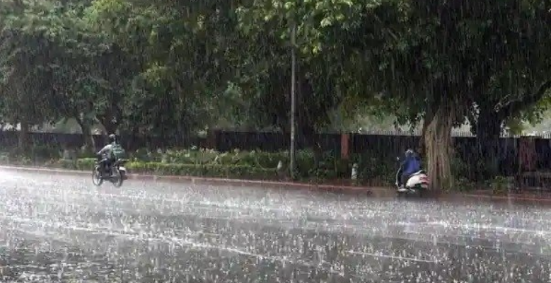 When will the new round of rain start again in Gujarat, where will it rain?