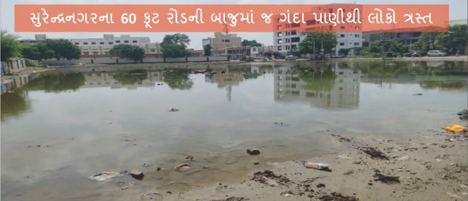 People affected by dirty water right next to 60 feet road in Surendranagar